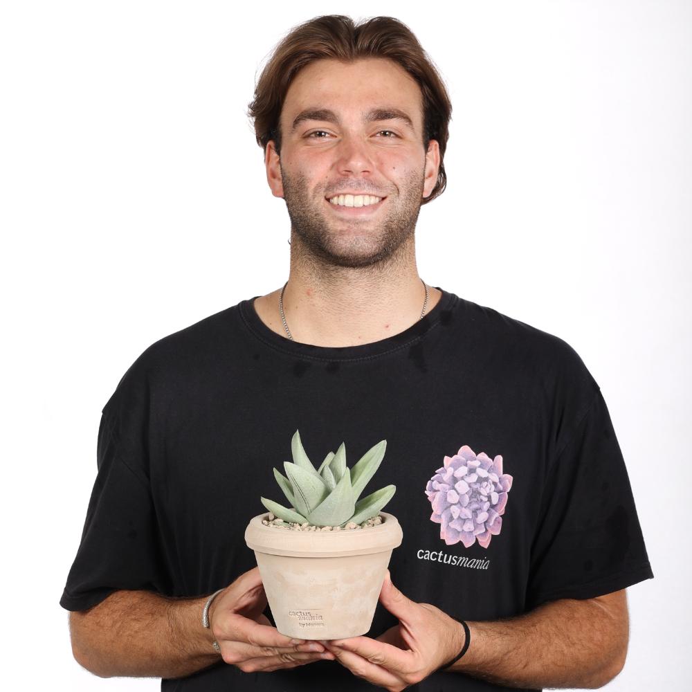 Gasteraloe Green Ice Ø 14
