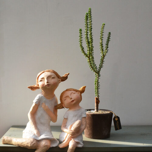 Portulacaria namaquensis - Linea Manera