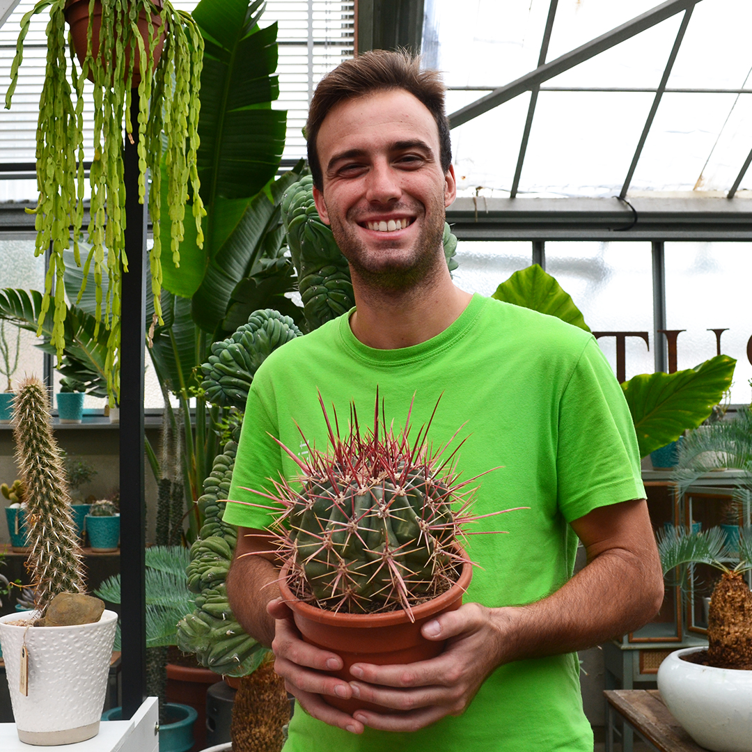 Ferocactus emoryi rectispinus vaso Ø 22