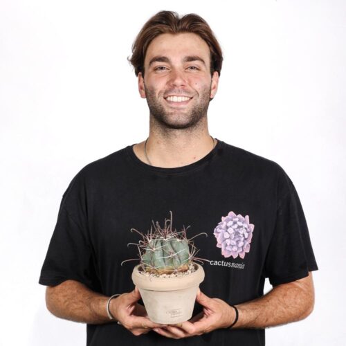 Ferocactus emoryi Ø 14