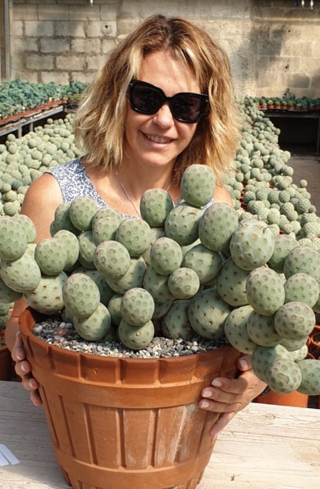 Annarita Manera e un Tephrocactus