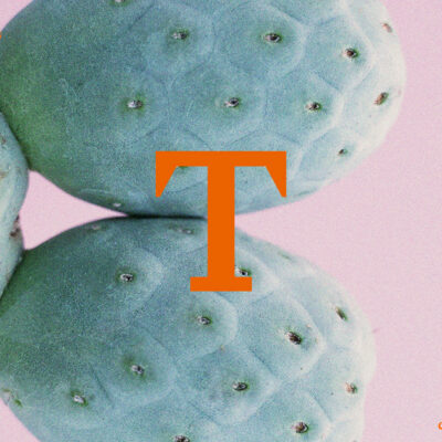 Foto di Famiglia: il Tephrocactus