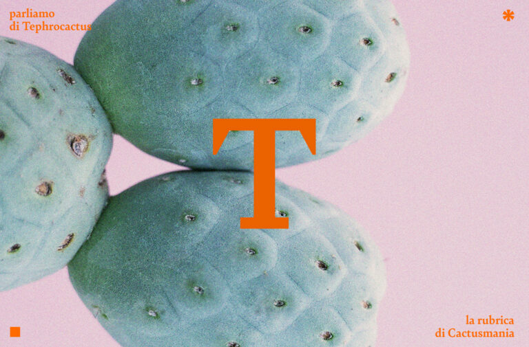 Foto di Famiglia: il Tephrocactus