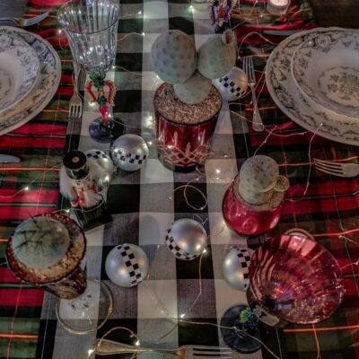 Tavola di Natale del collezionista di piante grasse