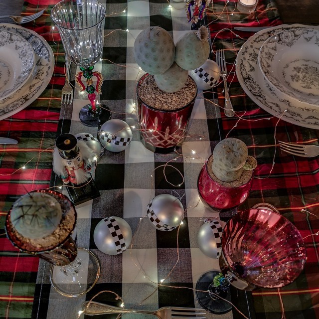Tavola di Natale del collezionista di piante grasse