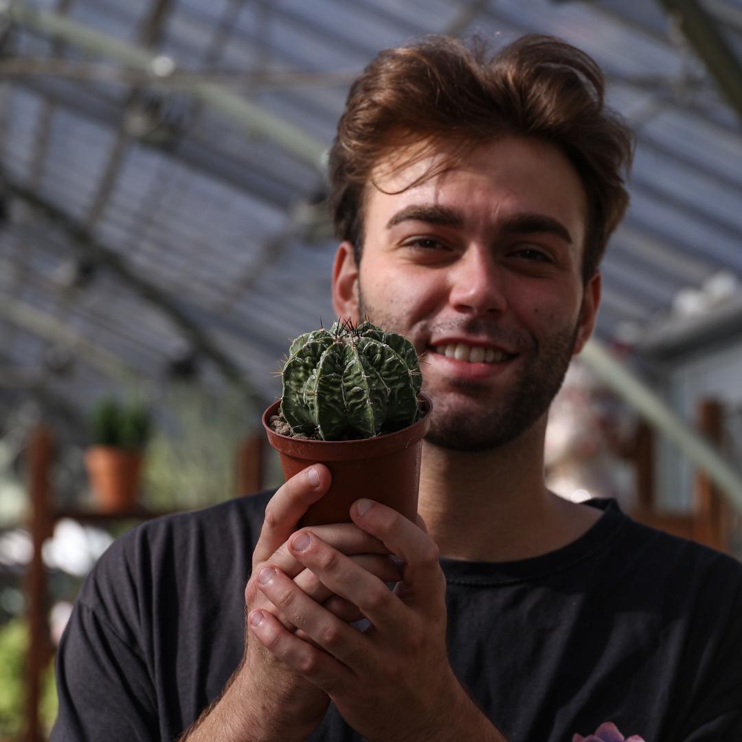 Astrophytum ornatum fukuryu hybrid Ø 10,5 cm