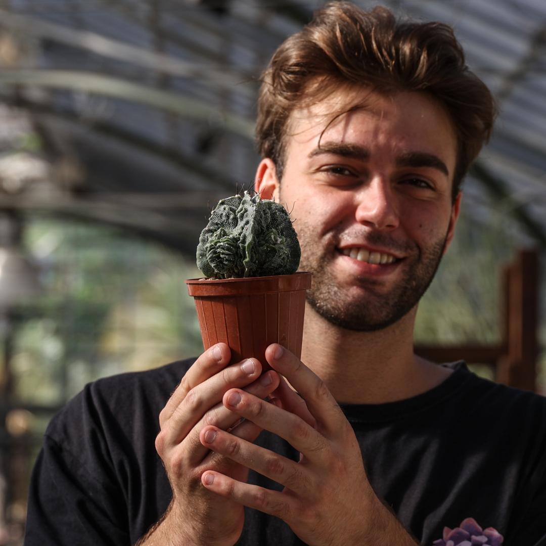 Astrophytum ornatum fukuryu hybrid Ø 10,5 cm