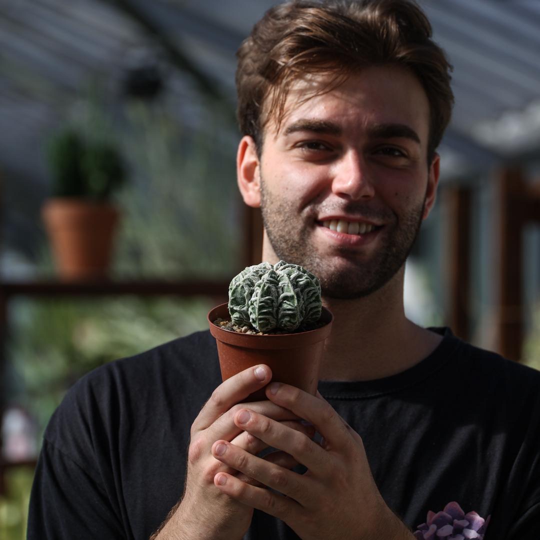 Astrophytum myriostigma fukuryu hybrid Ø 10,5 cm