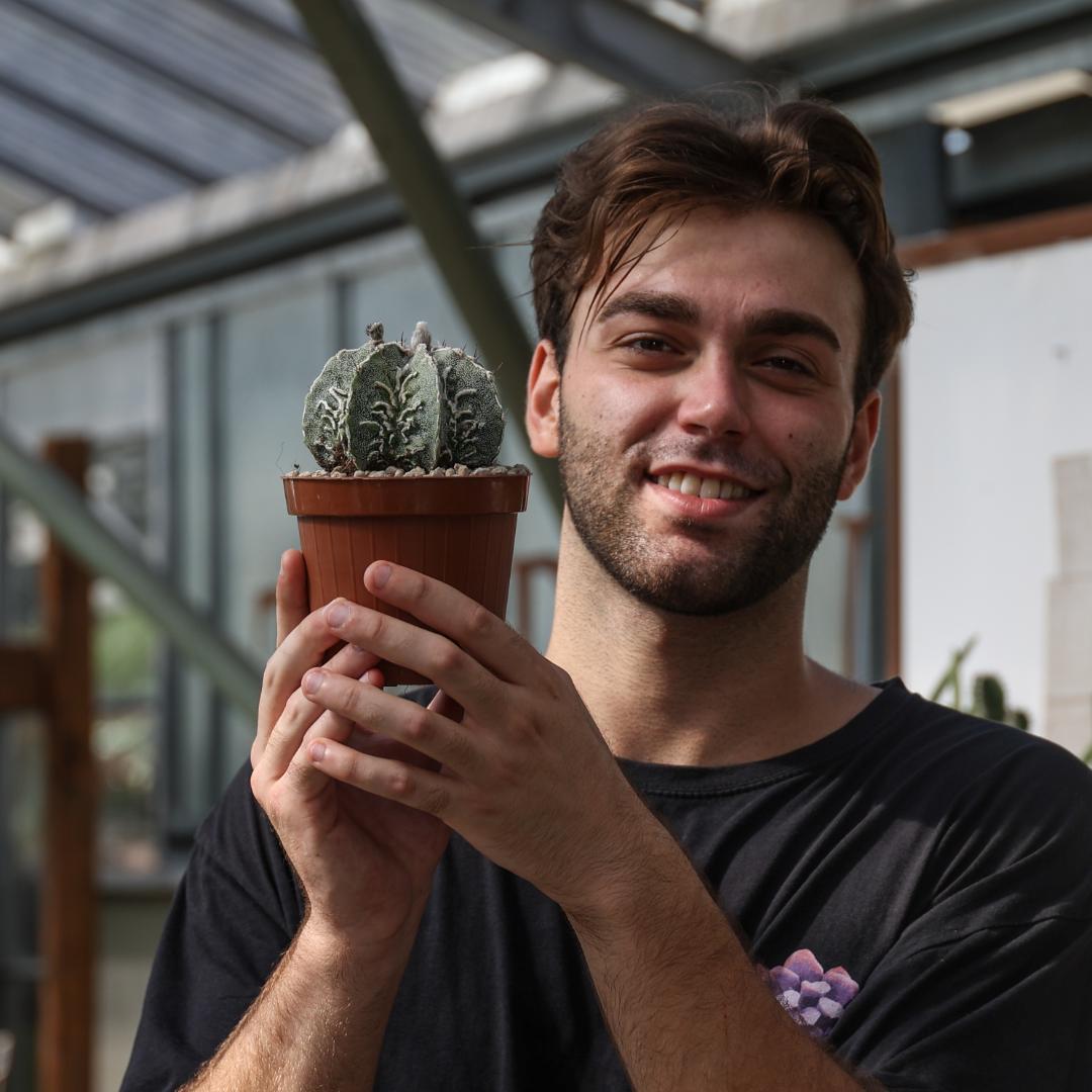 Astrophytum ornatum fukuryu hybrid Ø 12 cm