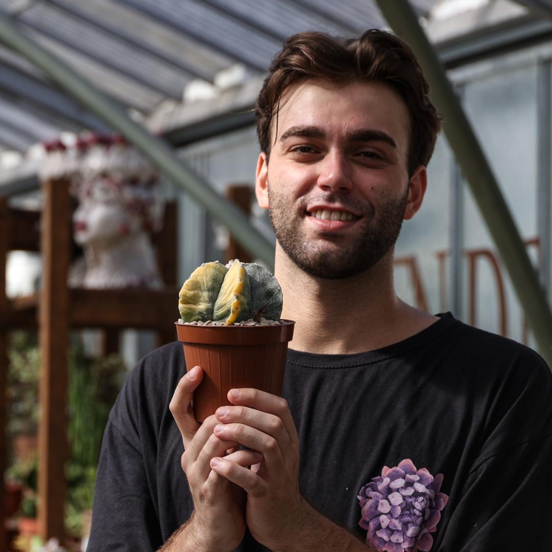 Astrophytum myriostigma variegato Ø 12 cm