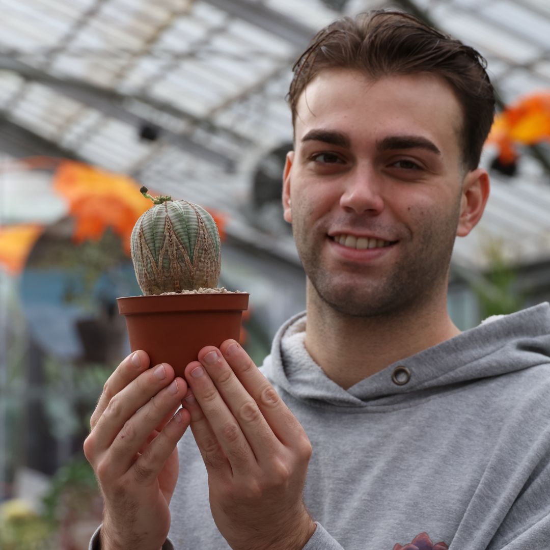 Euphorbia obesa Ø 10,5 cm