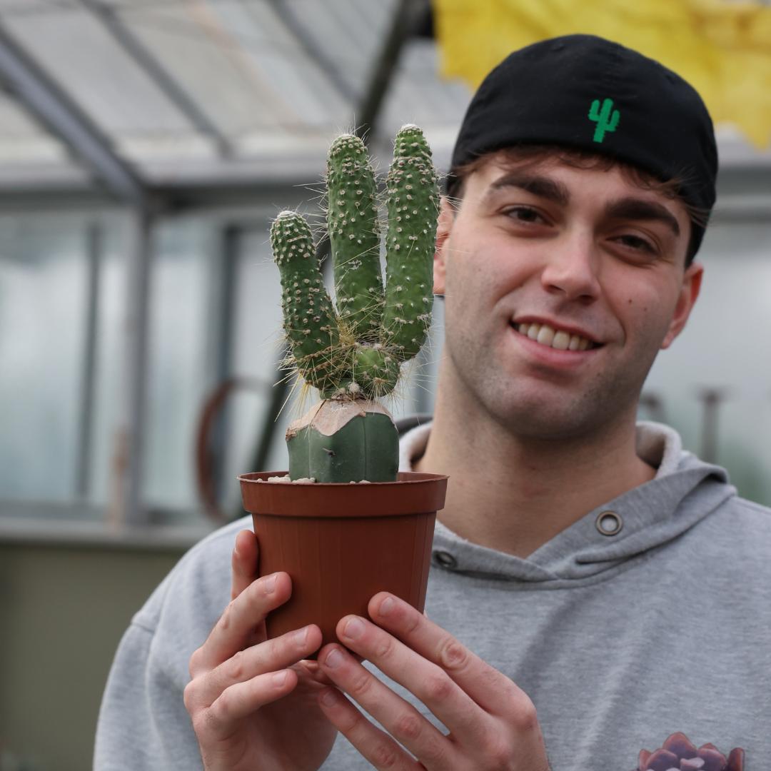 Cleistocactus jujuyensis Ø 12