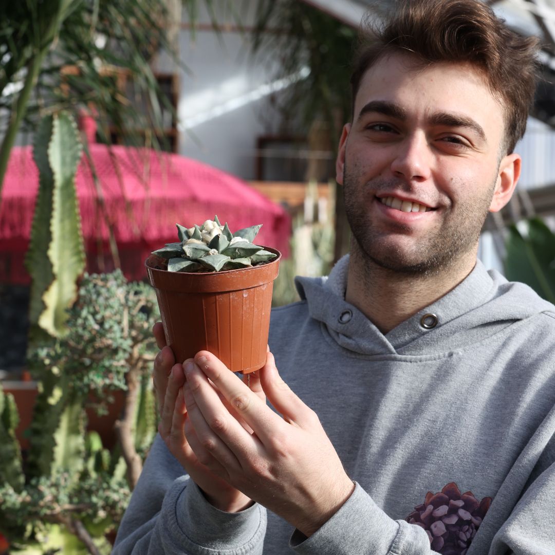 Ariocarpus retusus Ø 12