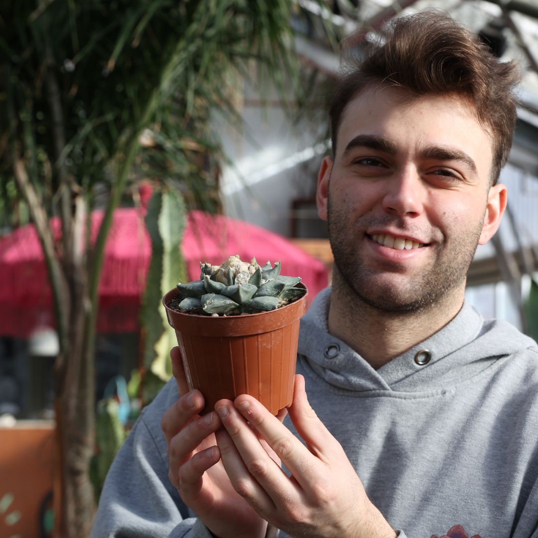 Ariocarpus retusus Ø 12