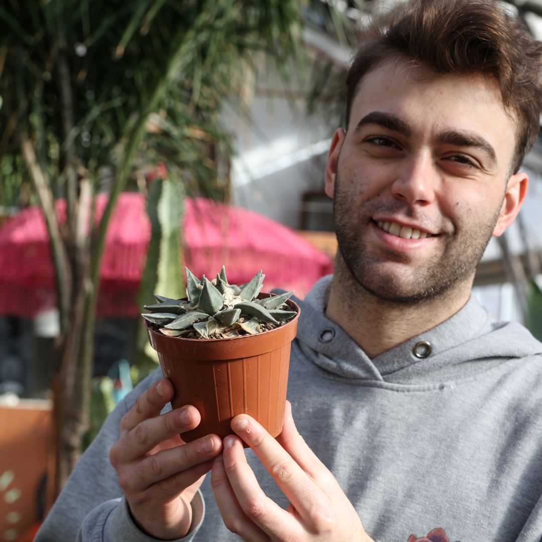 Ariocarpus retusus Ø 12