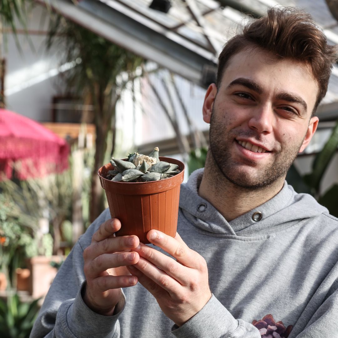 Ariocarpus retusus Ø 12