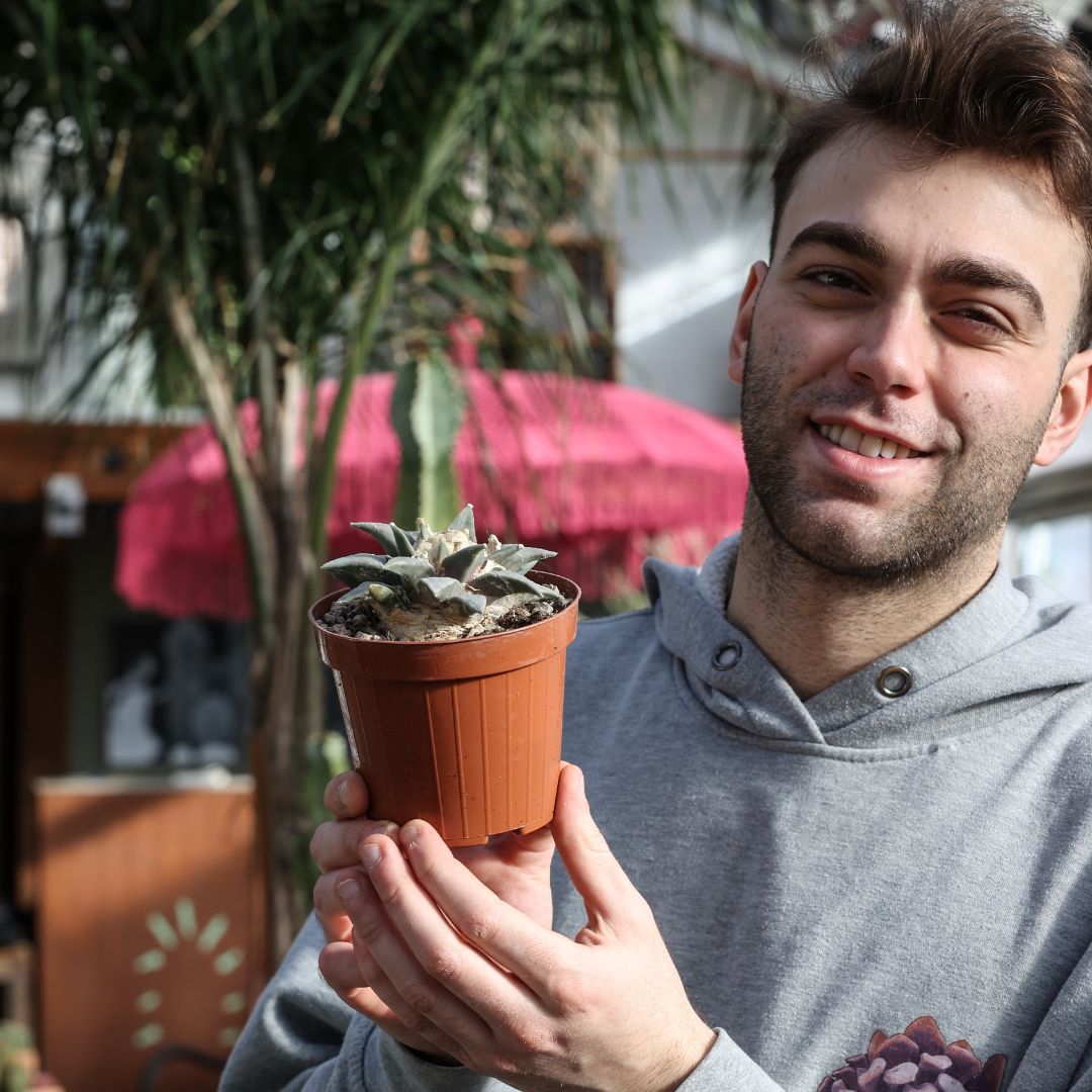 Ariocarpus retusus Ø 12