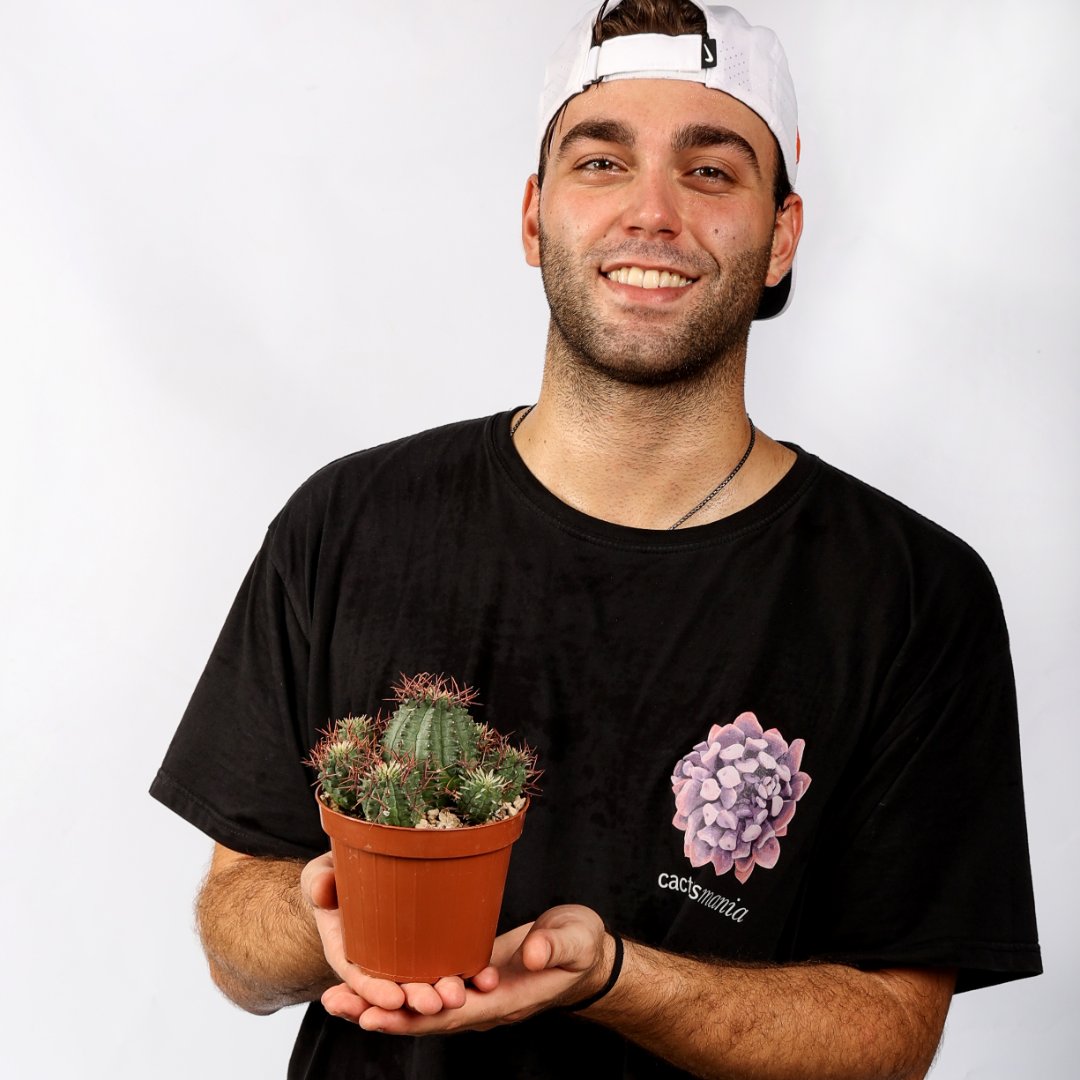 Euphorbia stellispina Ø 12 - immagine 4