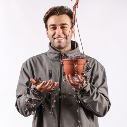 Ceropegia woodii Ø 14