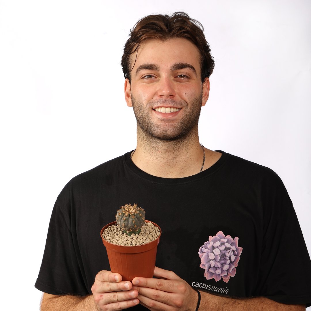 Gymnocalycium spegazzinii var. unguispinum Ø 12 cm