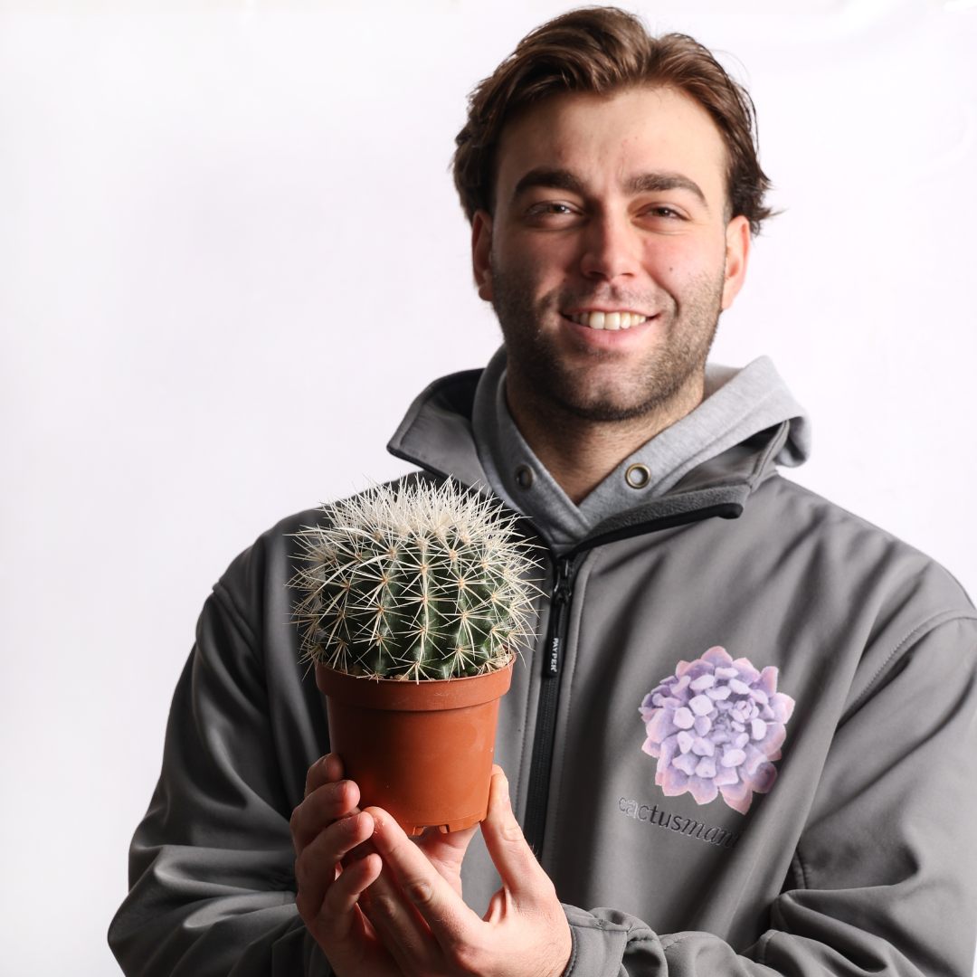 Echinocactus grusonii alba Ø 12 cm