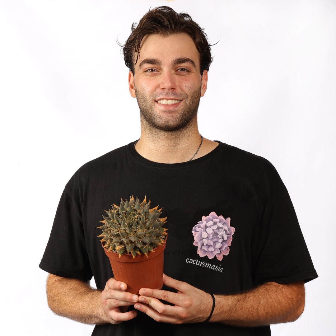Ariocarpus trigonus var. horacekii Ø 14 cm