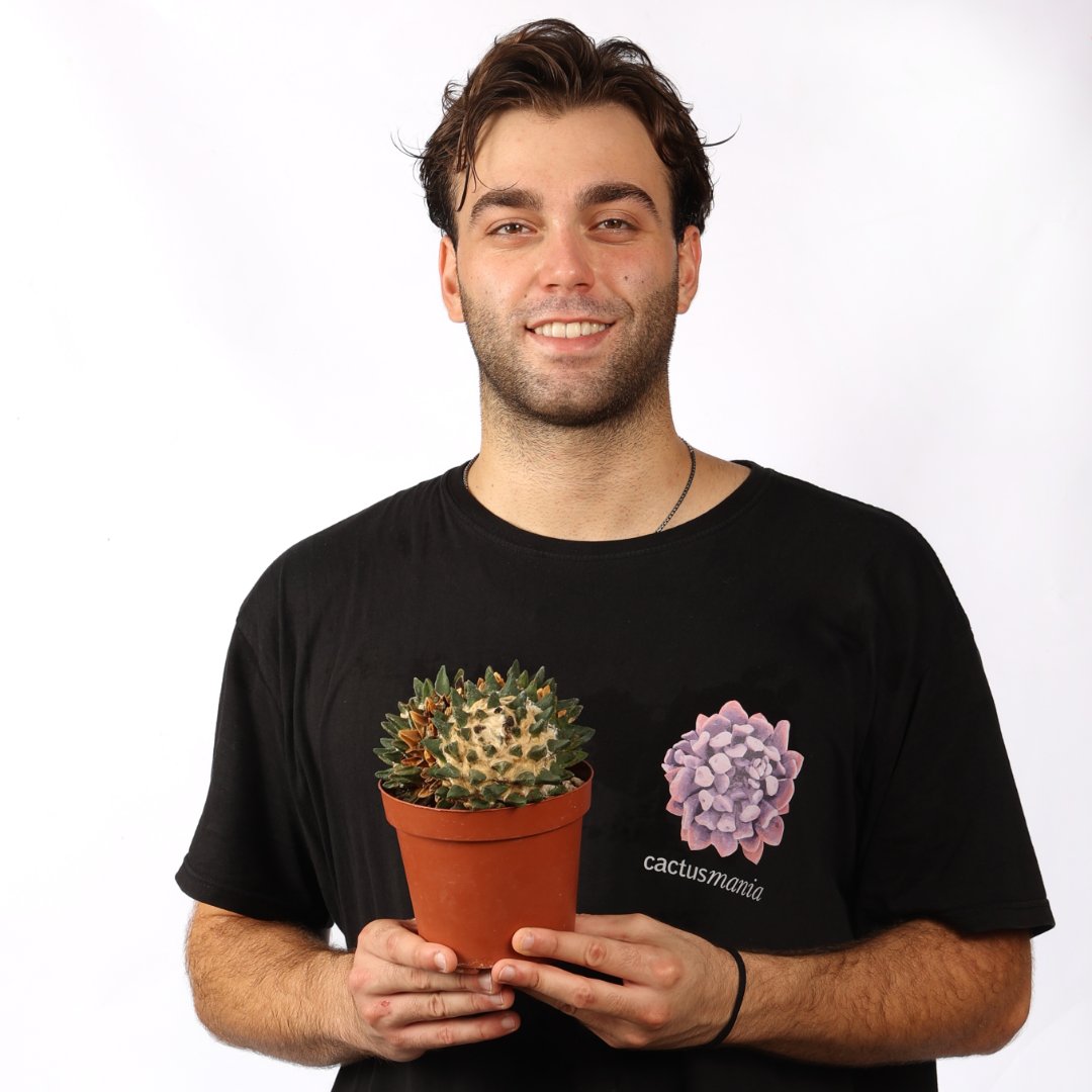 Ariocarpus scapharostrus Ø 14 cm