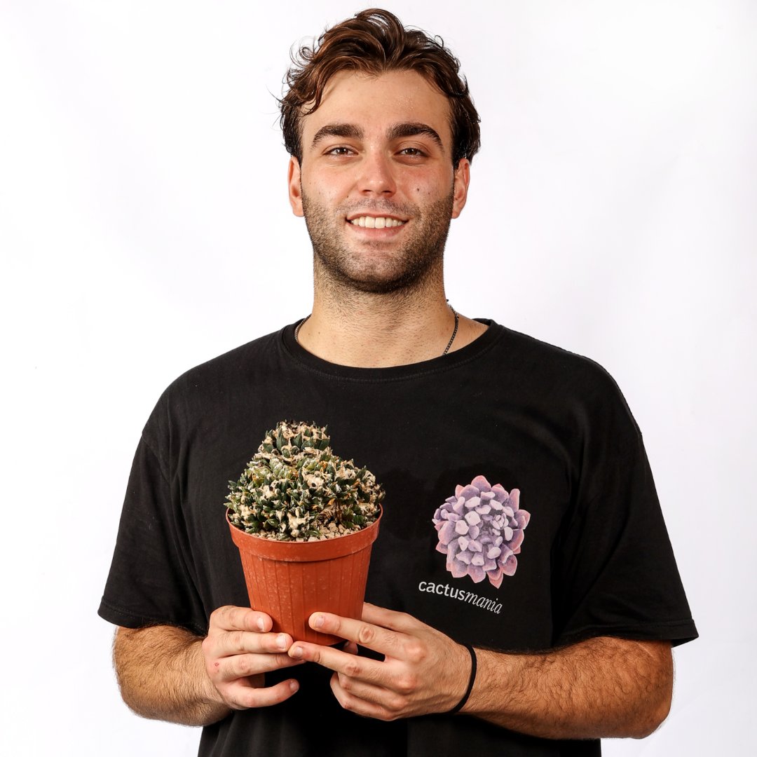Ariocarpus bravoanus nunez Ø 14 cm