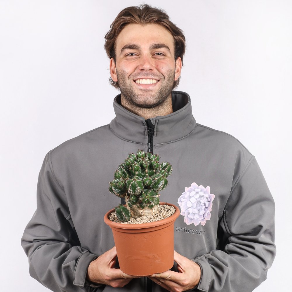 Euphorbia Handiensis Ø 18 cm