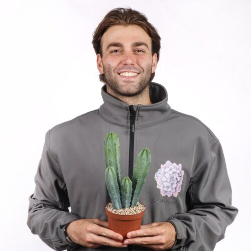 Myrtillocactus geometrizans Ø 12 cm