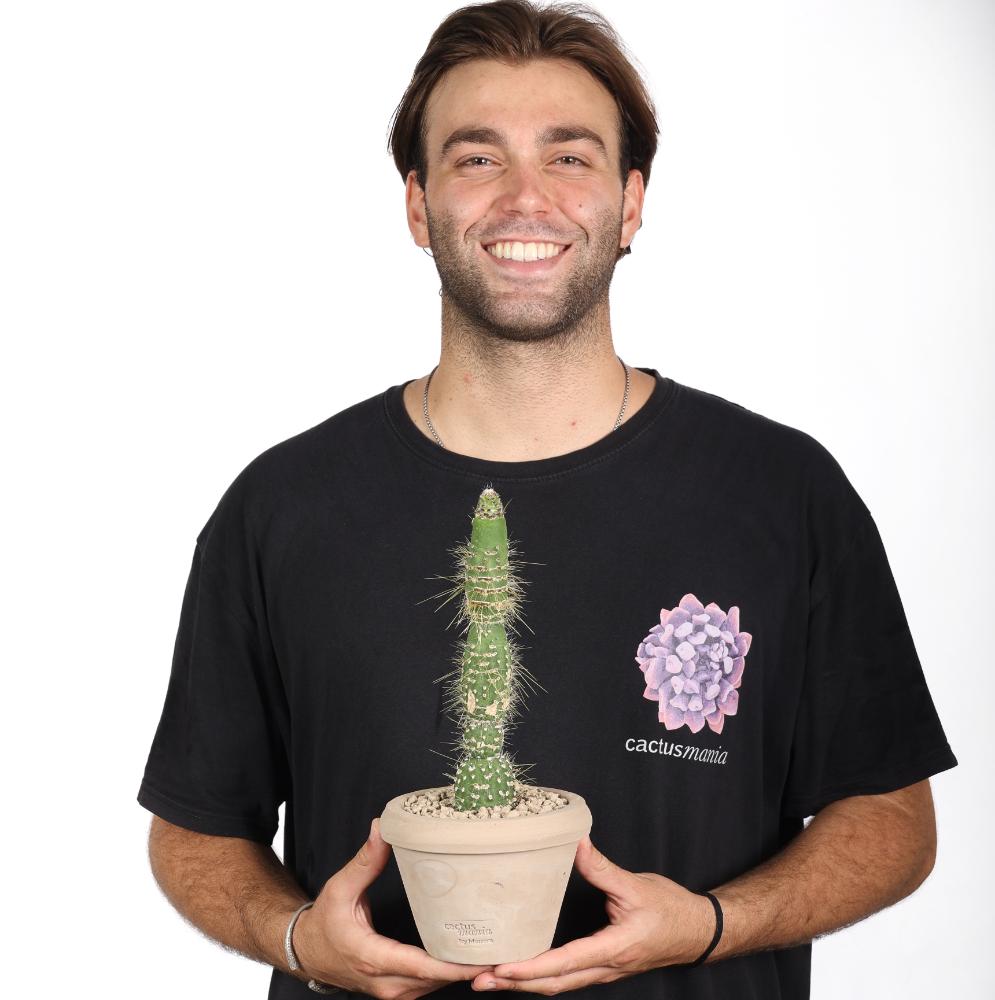 Cleistocactus jujuyensis f. mostruosa Ø 14