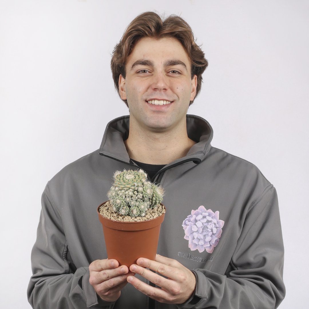 Strombocactus disciformis Ø 14 cm