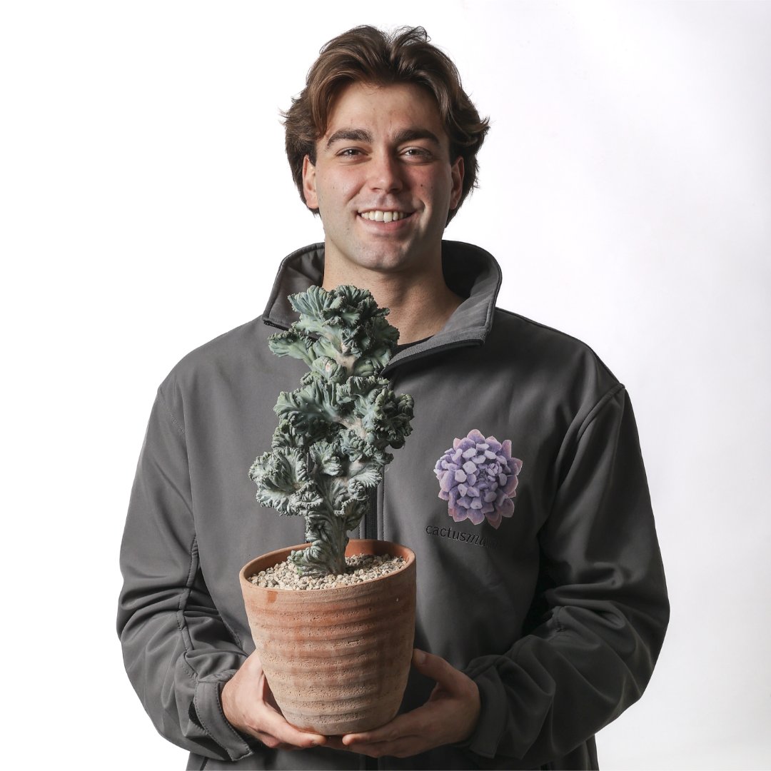 Myrtillocactus geometrizans crestato f. minor Ø 18 cm