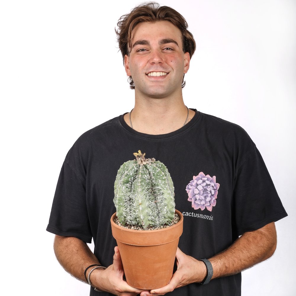 Astrophytum myriostigma fukuryu Ø 18