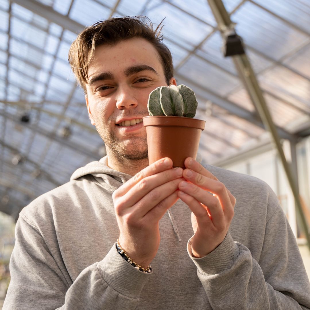 Astrophytum myriostigma haku jo Ø 10,5 - 620F