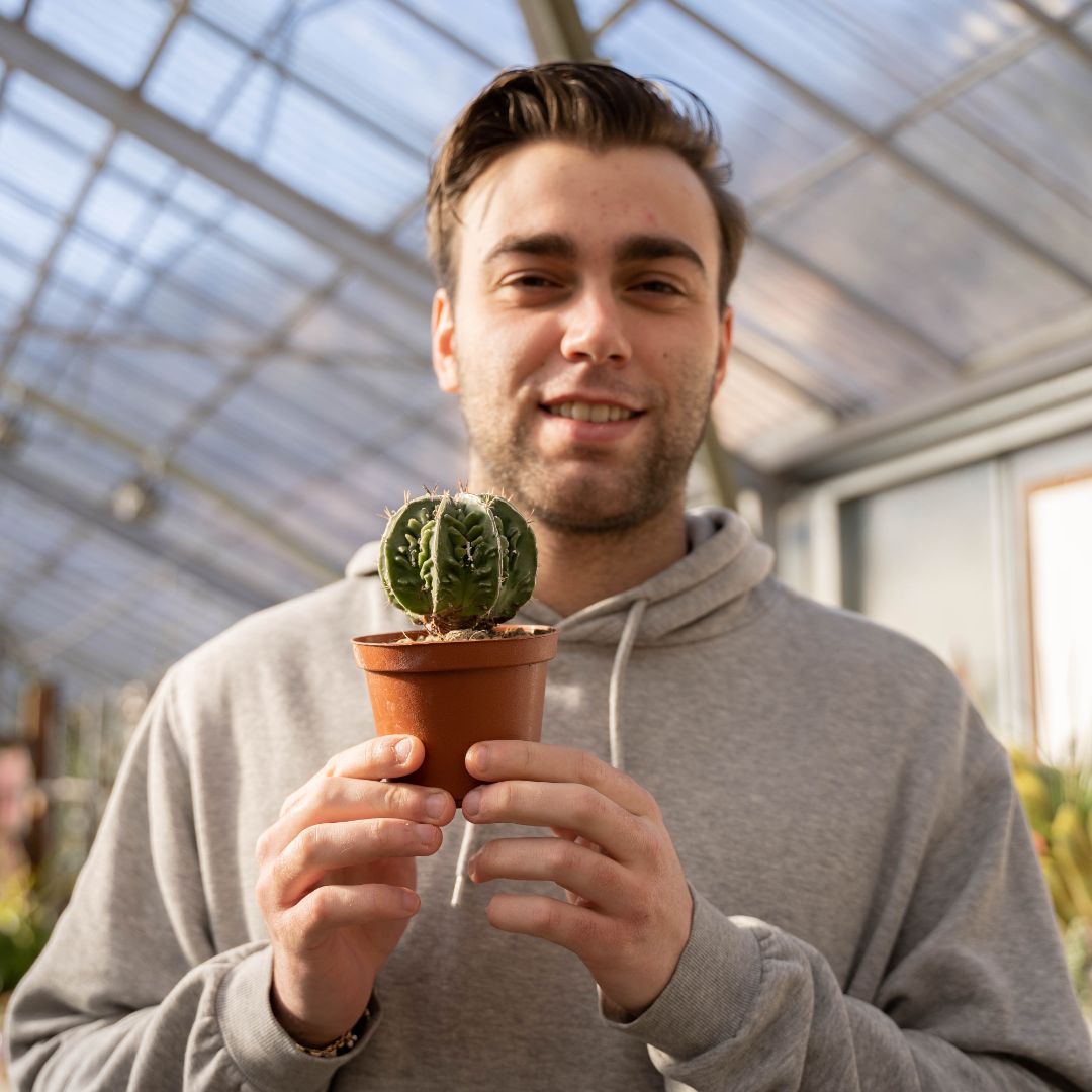 Astrophytum ornatum fukuryu hybrid Ø 10,5 cm - 611F