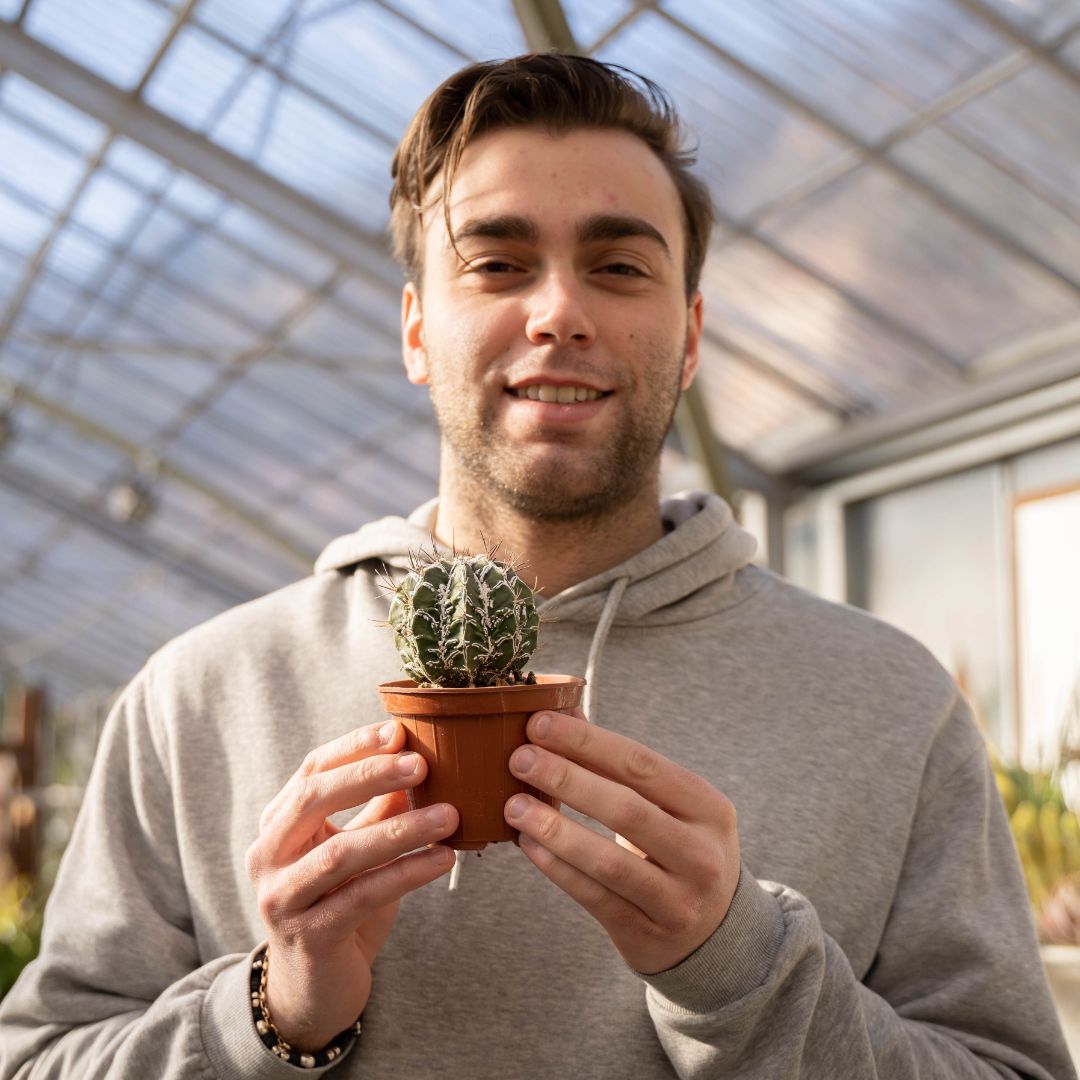 Astrophytum ornatum fukuryu hybrid Ø 10,5 - 621F