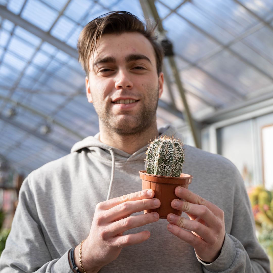 Astrophytum ornatum fukuryu hybrid Ø 10,5 - 622F