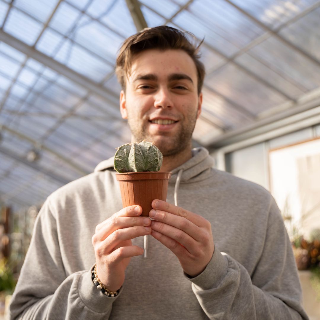 Astrophytum ornatum fukuryu hybrid Ø 10,5 - 625F
