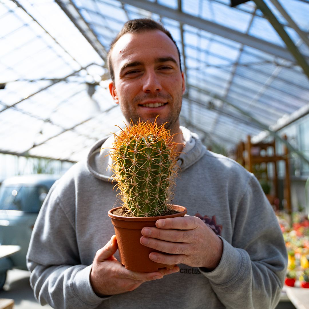 Ferocactus diguetii Ø 14 cm 696F