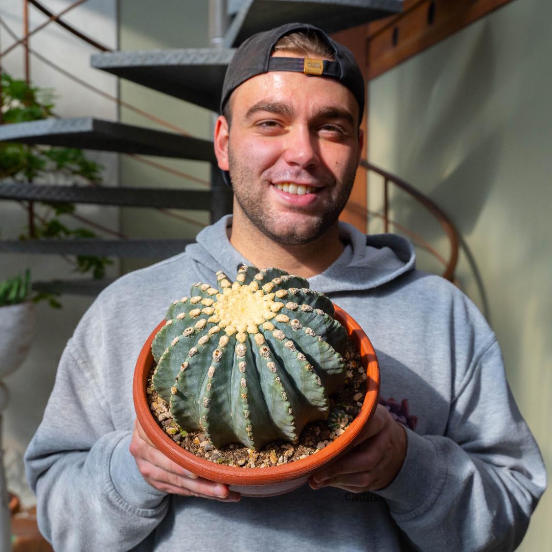 Ferocactus glaucescens nudum Ø 25 cm