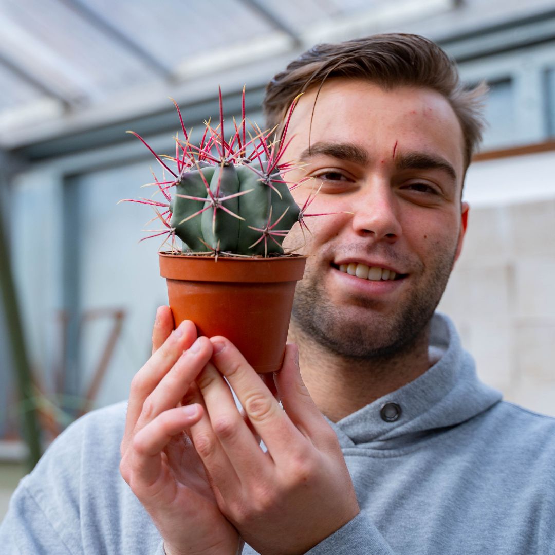 Ferocactus hybrid Ø 10,5 cm 711F