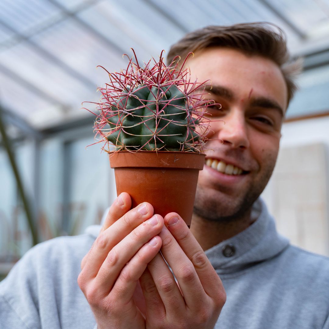 Ferocactus hybrid Ø 10,5 cm 712F