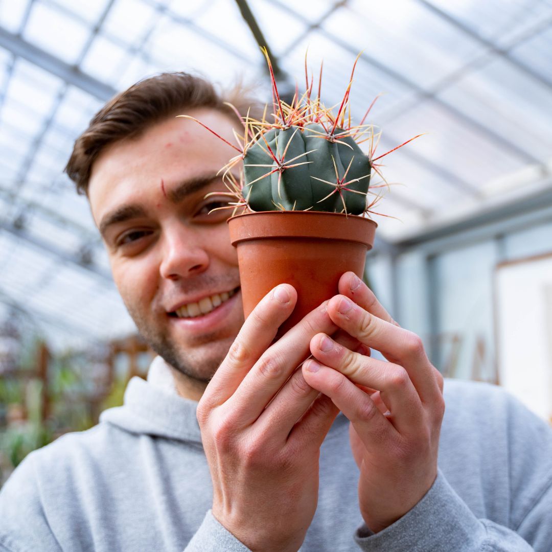 Ferocactus hybrid Ø 10,5 cm 713F