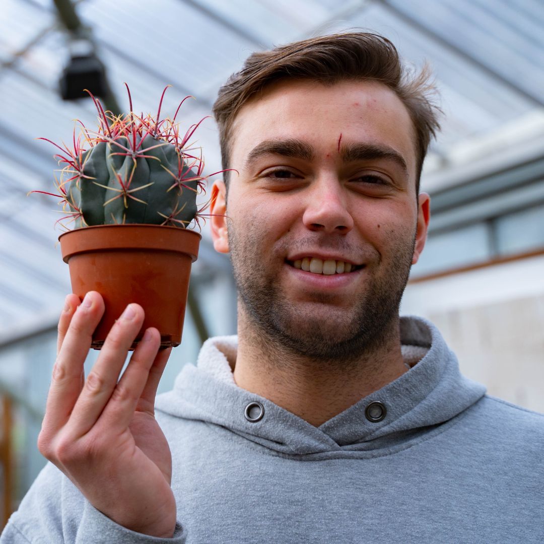 Ferocactus hybrid Ø 10,5 cm 715F