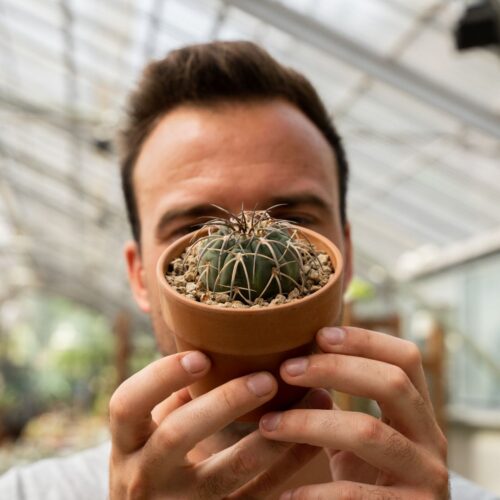Gymnocalycium spegazzinii Ø 10 cm 840F