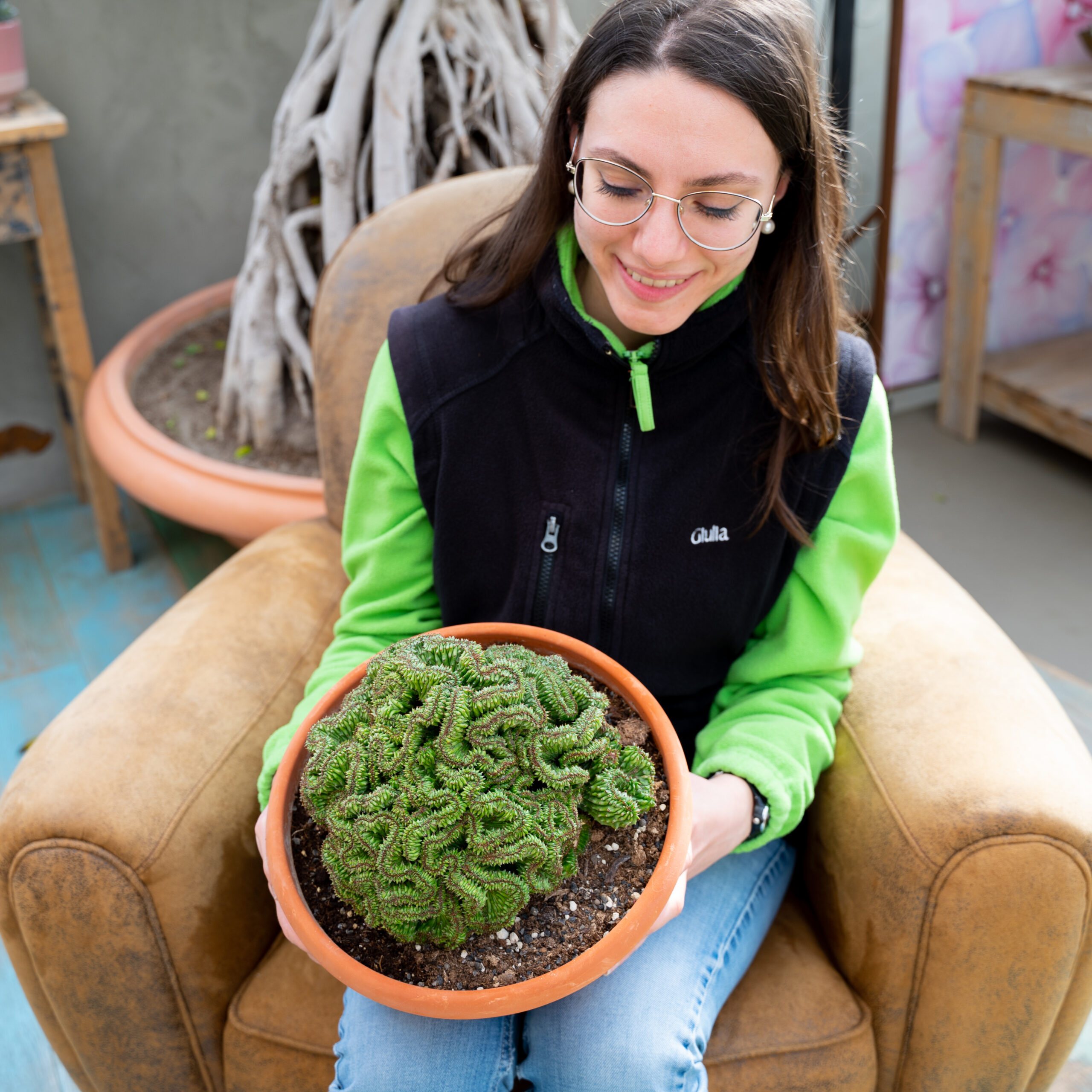 Euphorbia polygona crestata vaso Ø 25