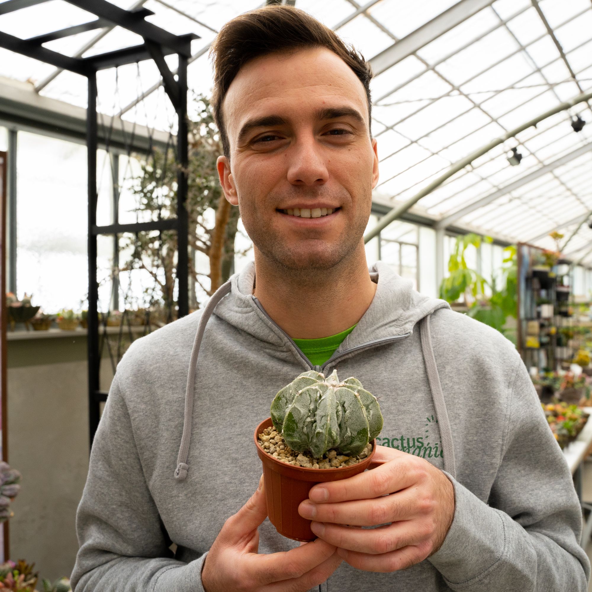 Astrophytum ornatum hannya hybrid