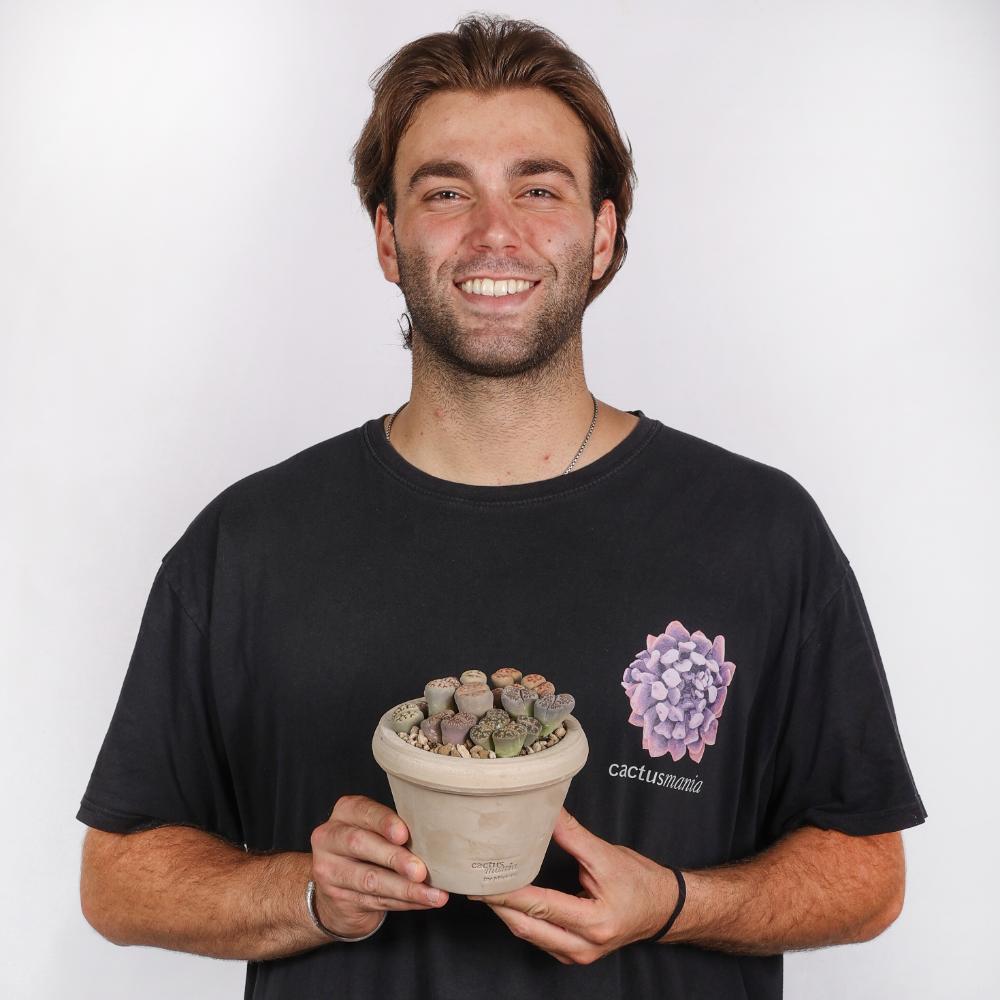 Lithops (Sassi viventi) Ø 14