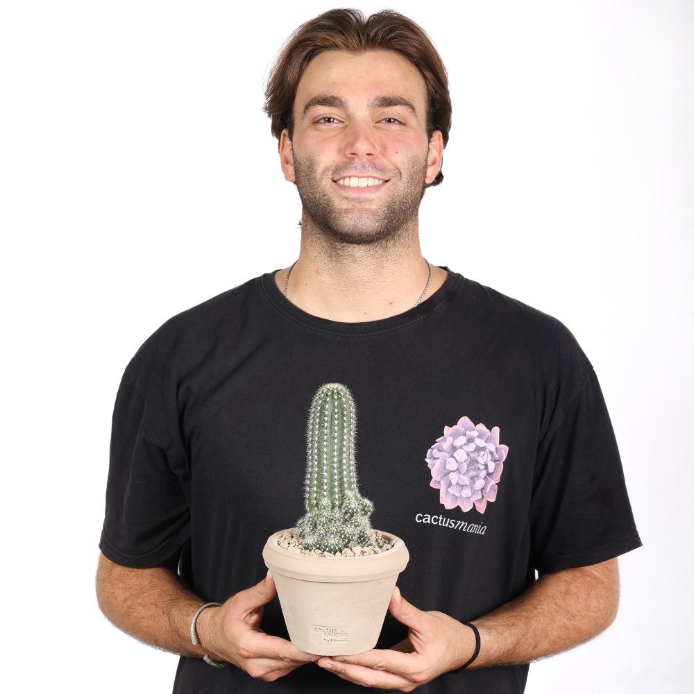 Trichocereus huascha Ø 14